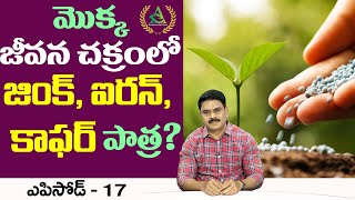 ఎపిసోడ్ 17_మొక్క జీవనంలో జింక్, ఐరన్, కాఫర్ పాత్ర? లోపాలు? Annapurna Agri Space | Agriculture