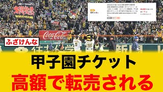 【阪神】甲子園チケット争奪戦で阪神ファンから批判殺到する【転売】