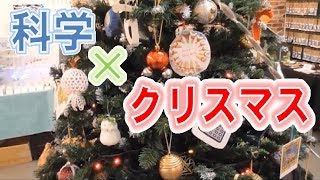 【魅惑】博物学グッズの祭典が楽しすぎる