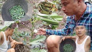 My Garden Tour//short video//Pure Organic Veggies From Garden//2022//Hanjanglangso youth club