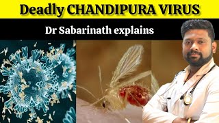 Deadly CHANDIPURA VIRUS|how to prevent?| Dr Sabarinath Ravichandar MD DNB explains