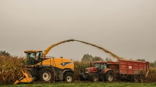 New Holland FR 9080 mais hakselen 2014 - Vandenbulcke uit Bellegem