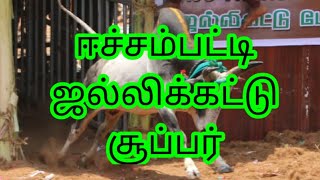 ஈச்சம்பட்டி ஜல்லிக்கட்டு சிறப்பான காளைகள்