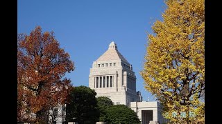 国会中継 参議院 内閣委員会 2022年12月8日(火)