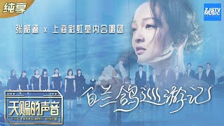 【纯享版】张韶涵/彩虹合唱团《白兰鸽巡游记》 张韶涵隔空大合唱上演背影杀《天赐的声音》EP6 纯享版No Noice /浙江卫视官方HD/