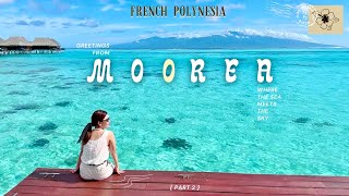 เที่ยวเกาะโมโอเรอา Moorea island ⛅️ พาดูที่พัก overwater bungalow ของ Sofitel Kia Ora Moorea