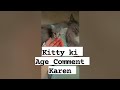 Animal TikTok #sage #kitty #tiktokviral