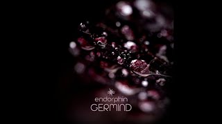 Germind - Endorphin -24bit 96khz- - 03 Lonely (Ambient Psychill Downtempo Electronica)