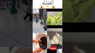 Miracle of Allah - Subhan Allah #allahuakbar #reactionvideo