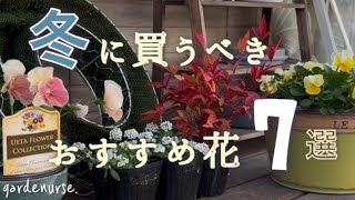 【ガーデニング】おしゃれ庭・玄関に飾りたい追加購入した花紹介🌱ベランダガーデニング🌷【看護師の暮らし】