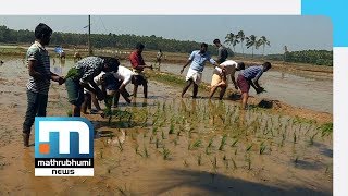 പഠനത്തോടൊപ്പം കൃഷി പ്രോത്സാഹനവുമായി വിദ്യാര്‍ത്ഥി കൂട്ടായ്മ| Mathrubhumi News