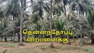 #PR52: Agriculture Land for sale in Erode | ஈரோடு மாவட்டத்தில் தென்னந்தோப்பு விற்பனைக்கு