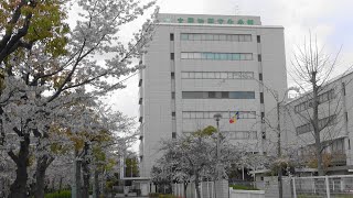 2023大田区花見34★創価学会大田池田文化会館☆枝垂桜☆染井吉野★撮影：3月30日（木）