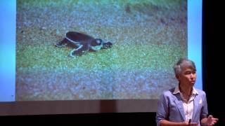 深度旅游，掀开大馬旅游的新篇章: Chok Yen Hau 卓衍豪 at TEDxPetalingStreet 2013