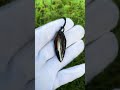 obsidian amulet