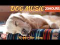 20 HOURS of Deep Sleep Dog Music & Separation anxiety🐶💖Dog Relaxation Music🎵stressed dog🐶healingmate