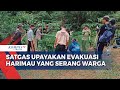 Satgas Pasang Perangkap Tangkap Harimau yang Serang Warga