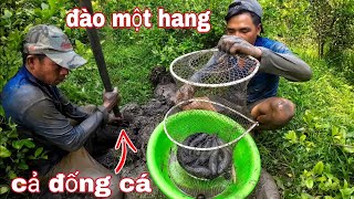 Tin được không một cái hang mà bao nhiêu cá đây