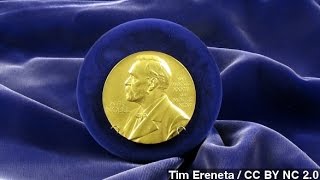 Nobel Prize Awarded For Explanation Of Brain's 'Inner GPS'
