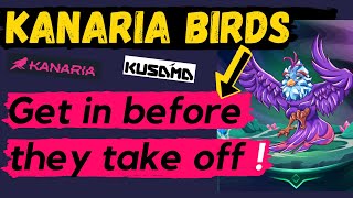 Kanaria Birds From RMRK Explained - Why You Should Catch One !