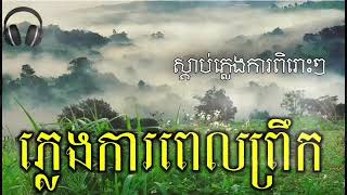 ស្តាប់ភ្លេងការពិរោះៗពេលព្រឹកព្រលឹម