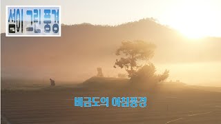 빛과 안개로 환상적인 풍경을 자아내는 비금도의 풍경/healing island /beautiful island in korea/