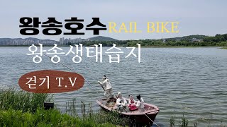 115.왕송호수/왕송습지생태공원/왕송 호수공원/의왕시 가볼만한곳