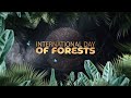 International Day of Forests