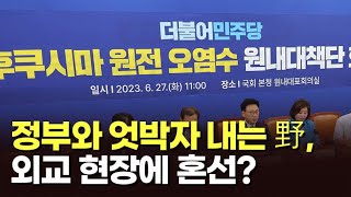 정부와 엇박자 내는 野, 외교 현장에 혼선? [이슈분석]