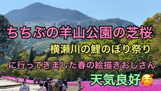 ちちぶの羊山公園の芝桜、横瀬川の鯉のぼり祭りに行って来た絵描きおじさん。