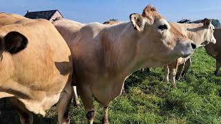 Chez Mathilde Agache à Faumont - Ferme de Lartois