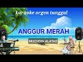 ANGGUR MERAH ( MUCHSIN ALATAS ) / KARAOKE ORGEN TUNGGAL