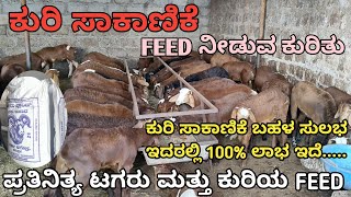 ಕುರಿ ಮತ್ತು ಟಗರು ಸಾಕಾಣಿಕೆ | ಕುರಿಗಳ ತೂಕ ಹೆಚ್ಚಿಸಲು ಯಾವ ರೀತಿ FEED ಬಳಸಬೇಕು | ಕುರಿ‌ FEED ಕುರಿತು ಸಂಪೂರ್ಣ