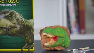 NATIONAL GEOGRAPHIC | Dig Kit | Dino Fossil