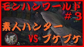 [mhw]素人ハンタープケプケに苦戦＃３[モンハンワールド]