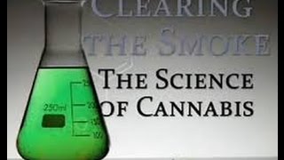 Clearing the Smoke  The Science of Cannabis ✪ PBS Nova Documentary Channel