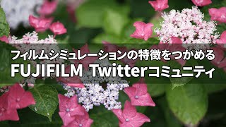 FUJIFILM フィルムシミュレーションの特徴がつかめる Twitterコミュニティ、おすすめの理由