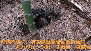 （閲覧注意）（ＧＷハクビシン戦）変態忍者の、有害鳥獣駆除従事活動記・その１９６