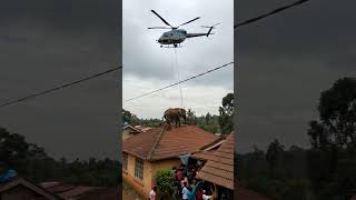 Elephant is being brought down from the roof using helicopter #elephante