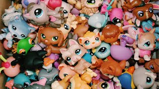 Opening a HUGE LPS Lot! | Over 90 pets! | Littlest Pet Shop