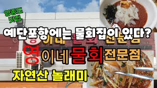 영종도 예단포항 영이네 물회전문점엔 특별한 물회가 살고있다!!