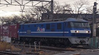 【豪快なジョイント音！】JR貨物 EF210-112号機+コキ20B 新A205仕業[77レ] 隅田川行 小田第三踏切通過！[2024.01.13(土)]