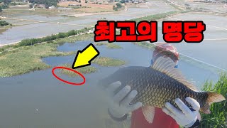 가온[붕어보트낚시]Ver121.  충남 서산 대물터 모월저수지.