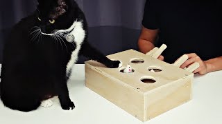 How to Build Whack A Mole Cat Toy