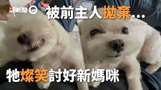 瑪爾濟斯露齒「笑到沒眼睛」！曾被拋棄...牠逗笑想討好人｜寵物｜狗｜領養｜親人｜精選影片