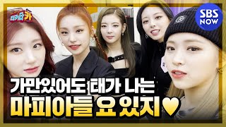 [티키타CAR] #ITZY (있지) 셀프캠📹 '가만있어도 태가 나서 Sorry Not Sorry' / 'Tiki taCAR' | SBS NOW