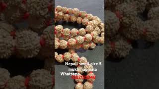 Nepali 5 mukhi small beads japmala!! #japmala #rudraksha #rudrakshabreslate