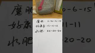 20/06/18 三种兰花肥料比较