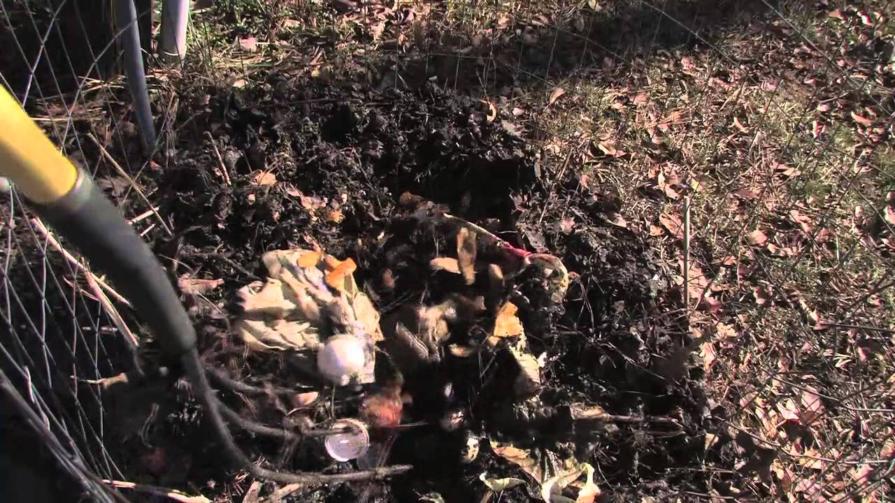 Organic Vegetable Gardening For Beginners Youtube