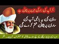 Maulana Rumi quotes in urdu | if you are sad listen to these quotes  زندگی ایک کتاب ہے #poetry